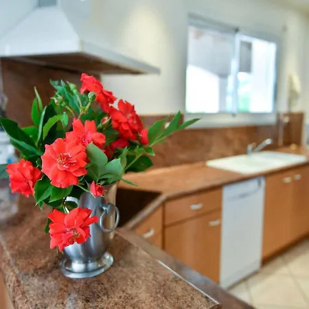 Semesterbostad Spacious Holiday In With Private Pool *